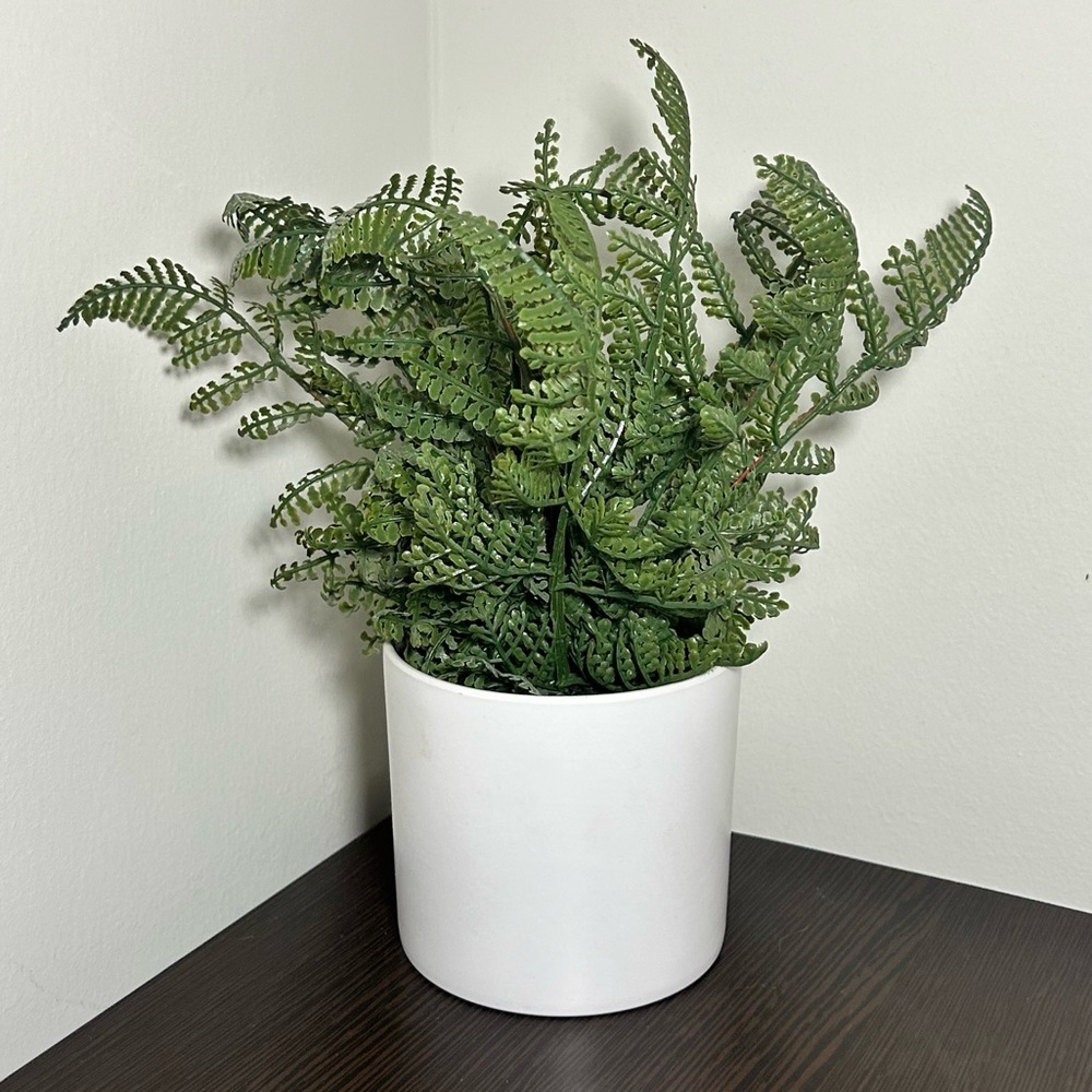 Faux Fern